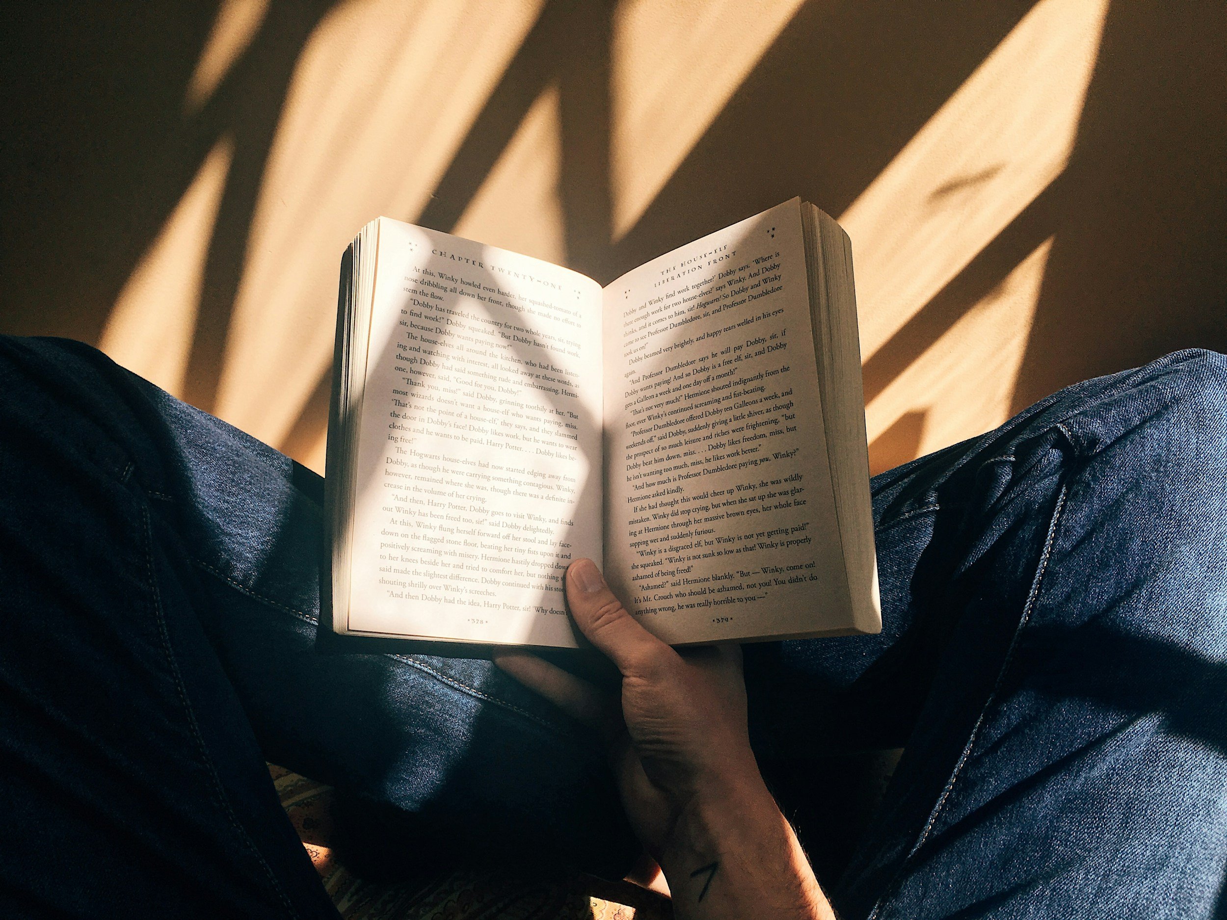 I Bought a Book Today — Sunday Thoughts 17/11/2024