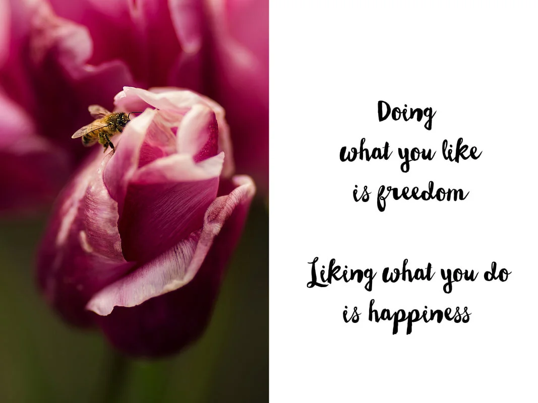 nature-quote-with-tulip_orig.jpg