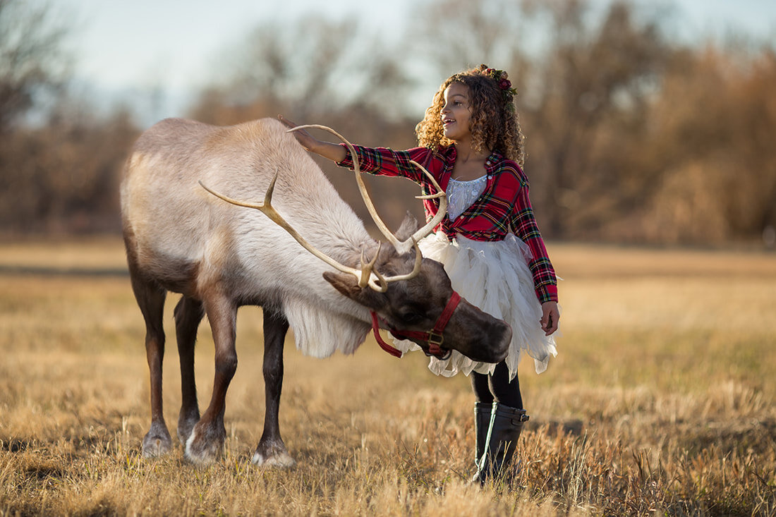 girl-petting-reindeer.jpg
