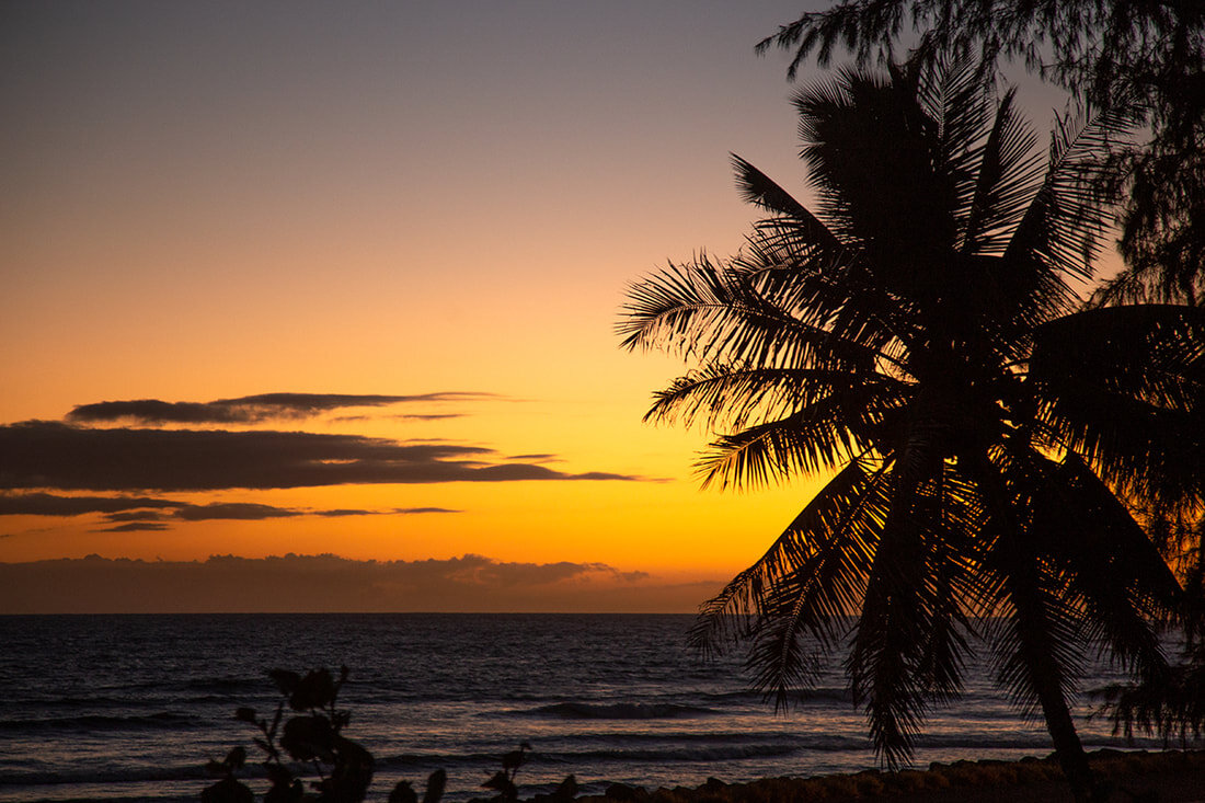 kauai-sunset-palm-tree.jpg