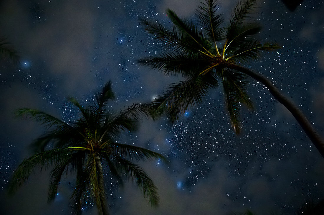 stars-clouds-palm-trees.jpg