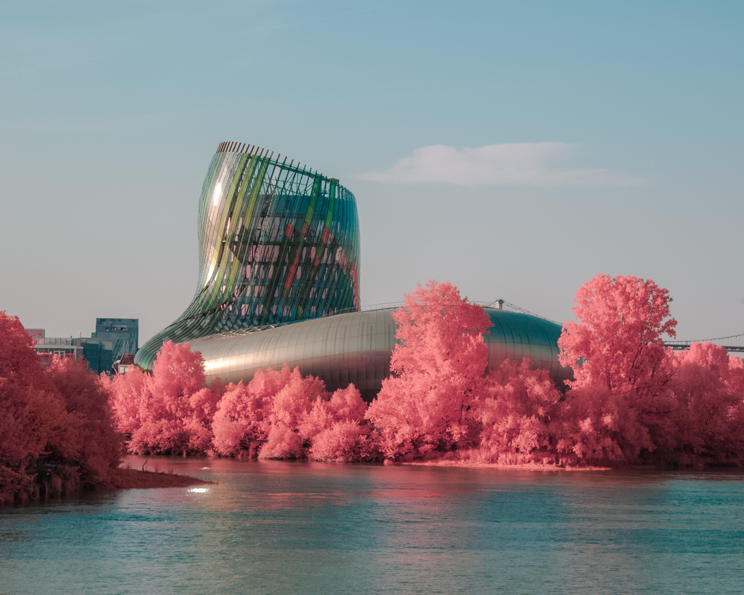 La vie en rose