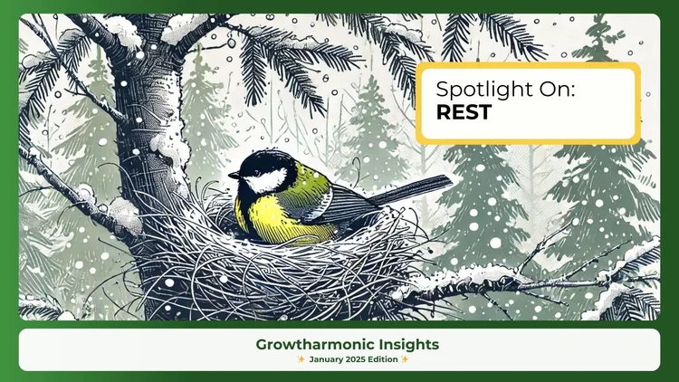 January Rest Spotlight on: REST 😴 (Growtharmonic Insights - January 2025 Edition ...