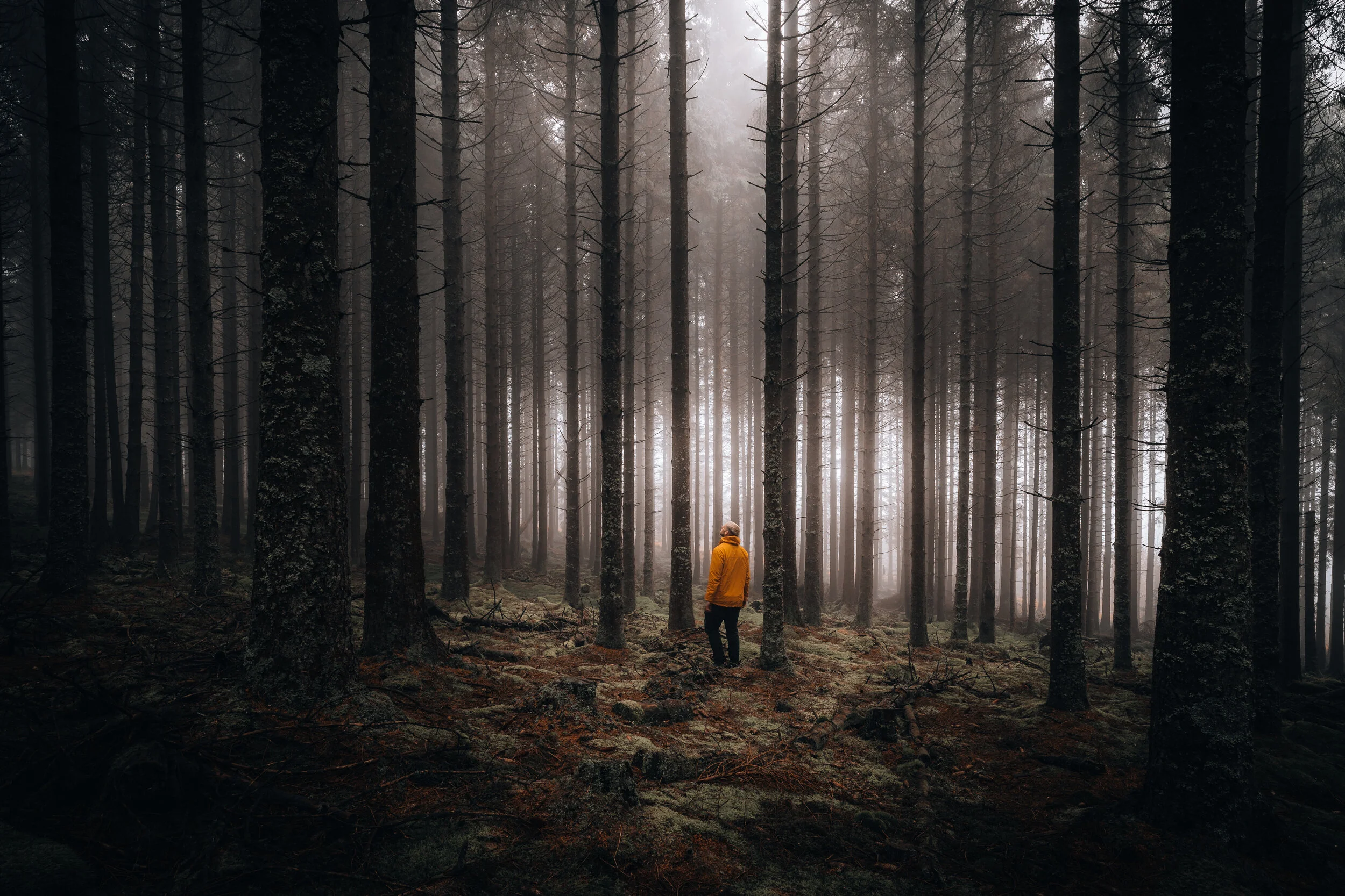 The Responsible Tourist