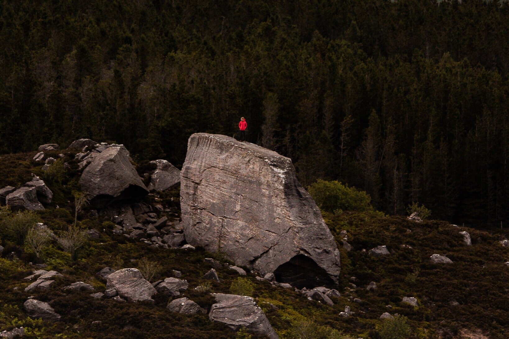 Short Walks: The Drake Stone &amp; Harbottle Lake 