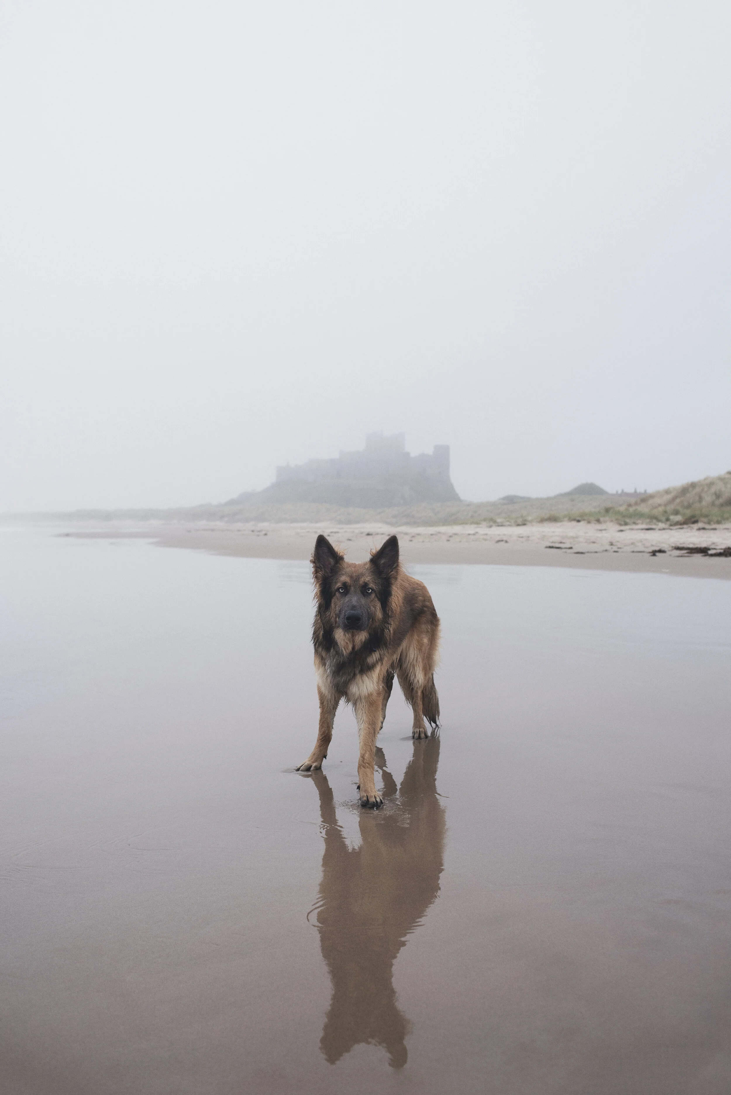 Bamburgh beach 3.jpg