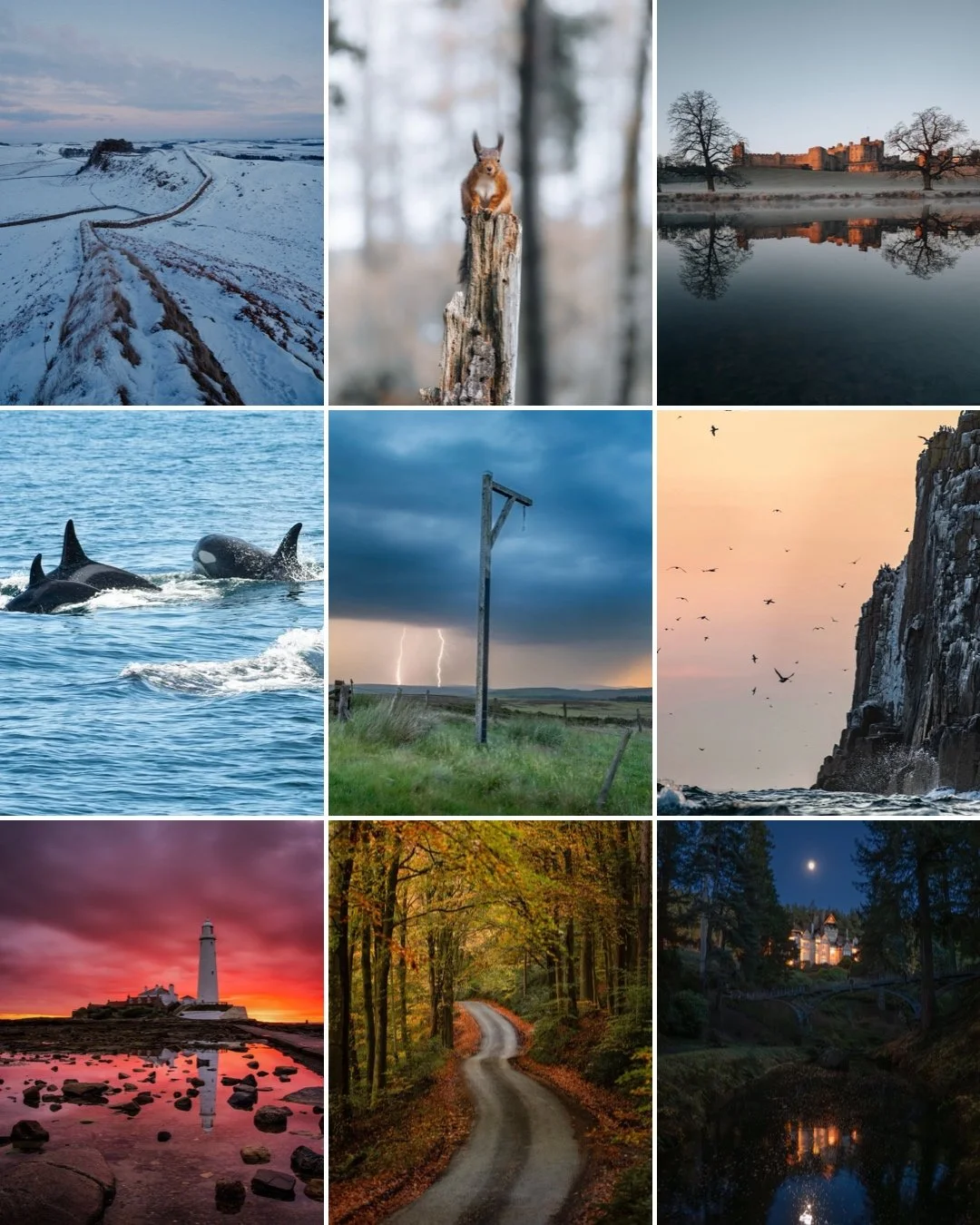 #Nland250 Photograph of the Year 2025