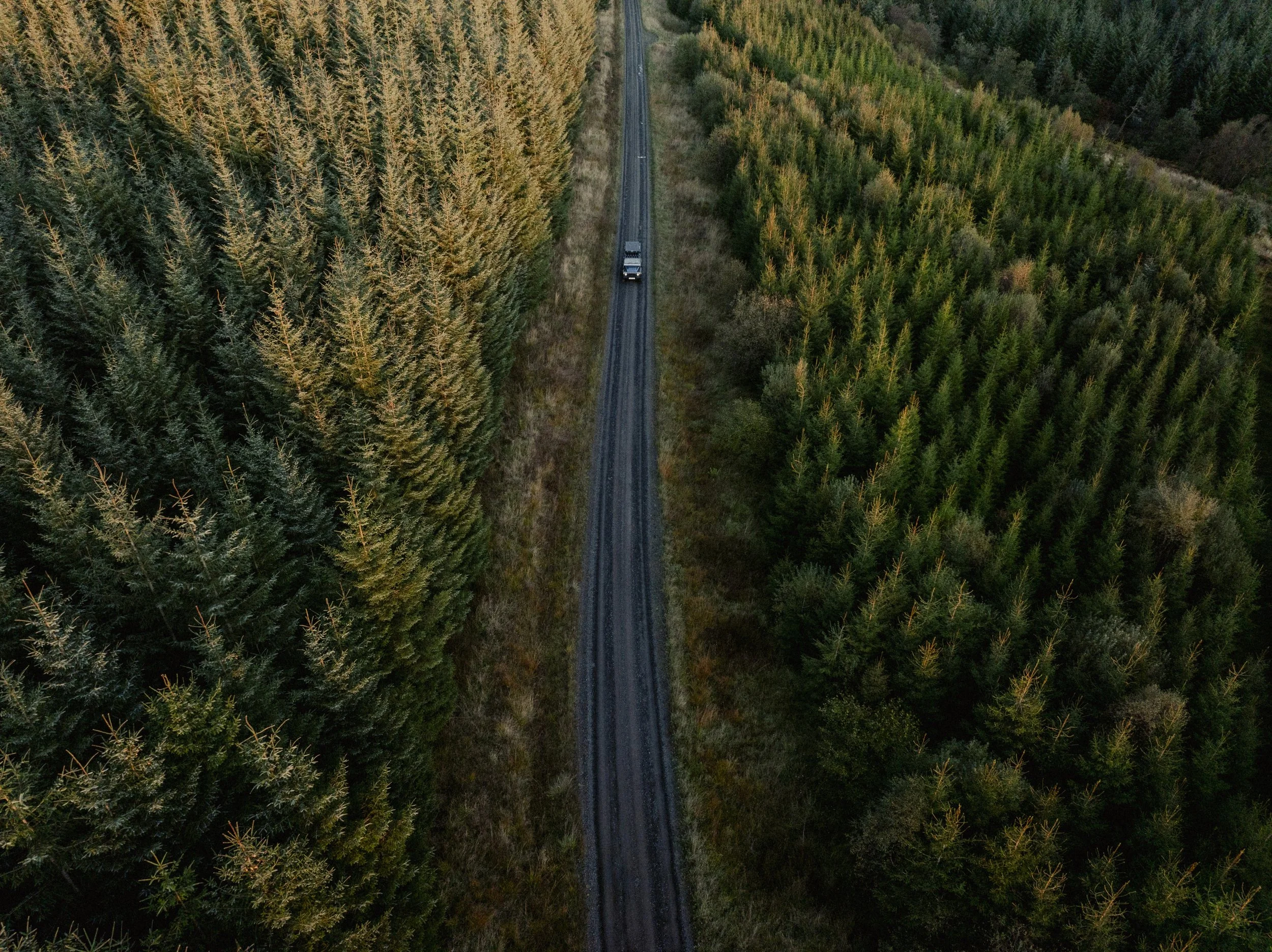 Navigating the Kielder Forest Drive