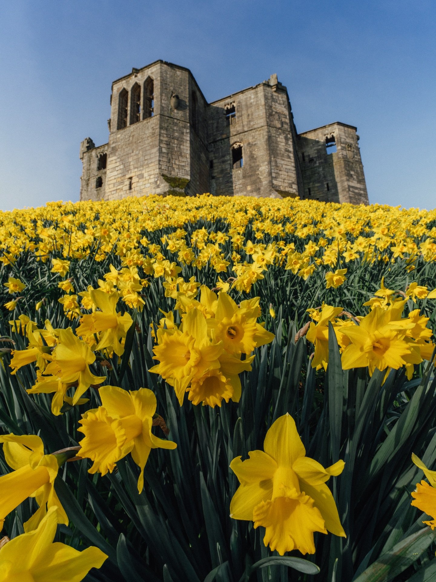 Spring in Northumberland