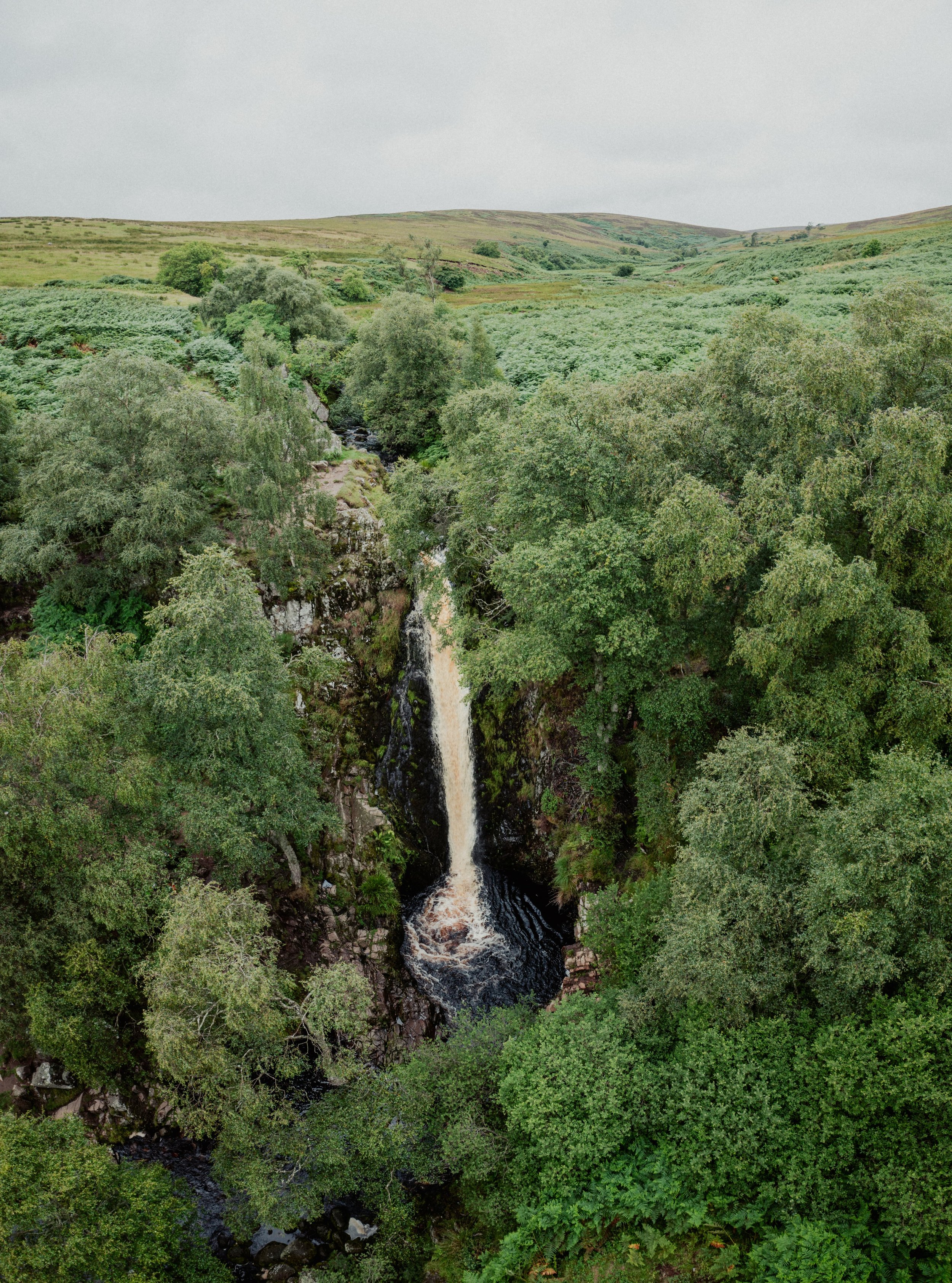 DJI_0620-Pano.jpeg