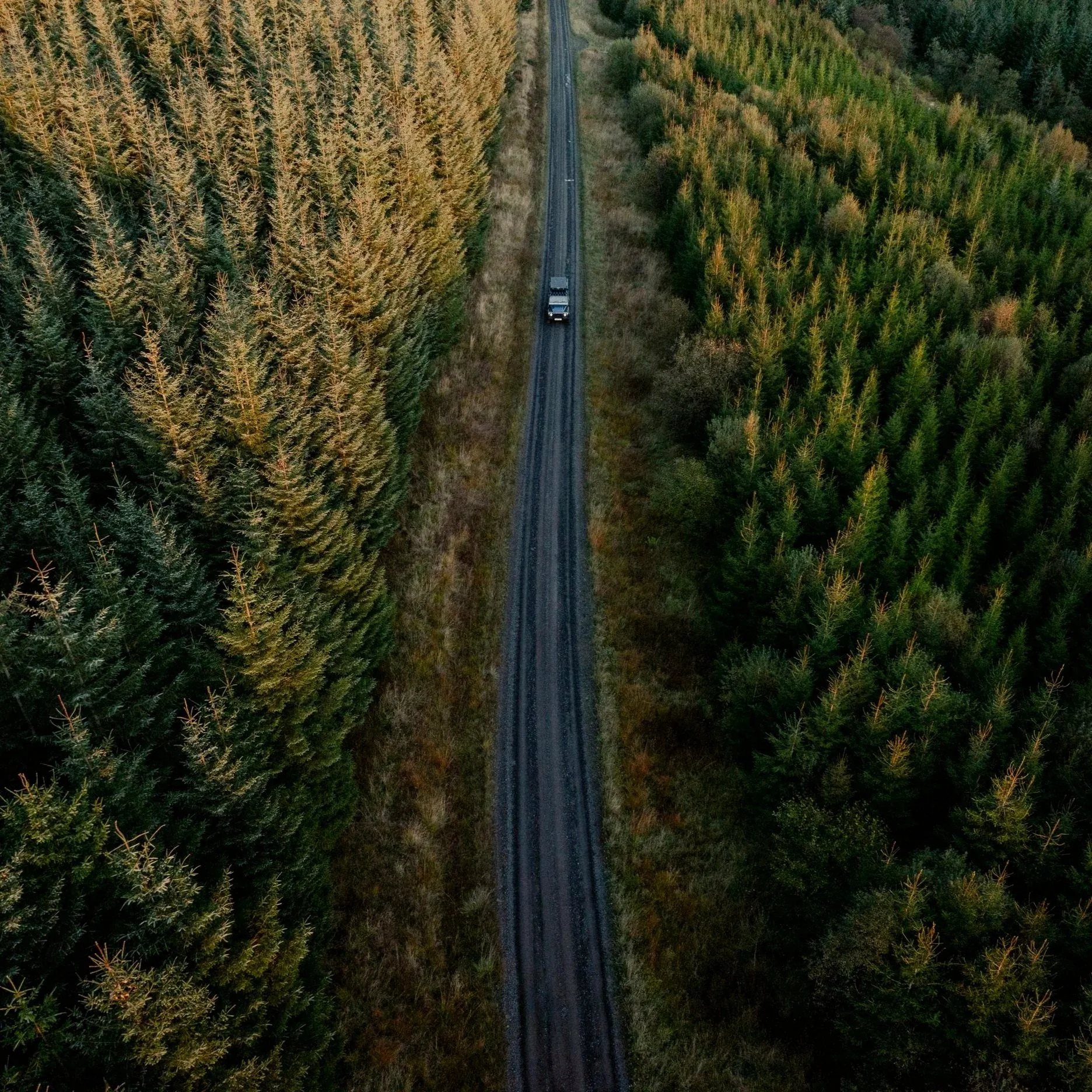 DJI_20241010180203_0471_D.jpg