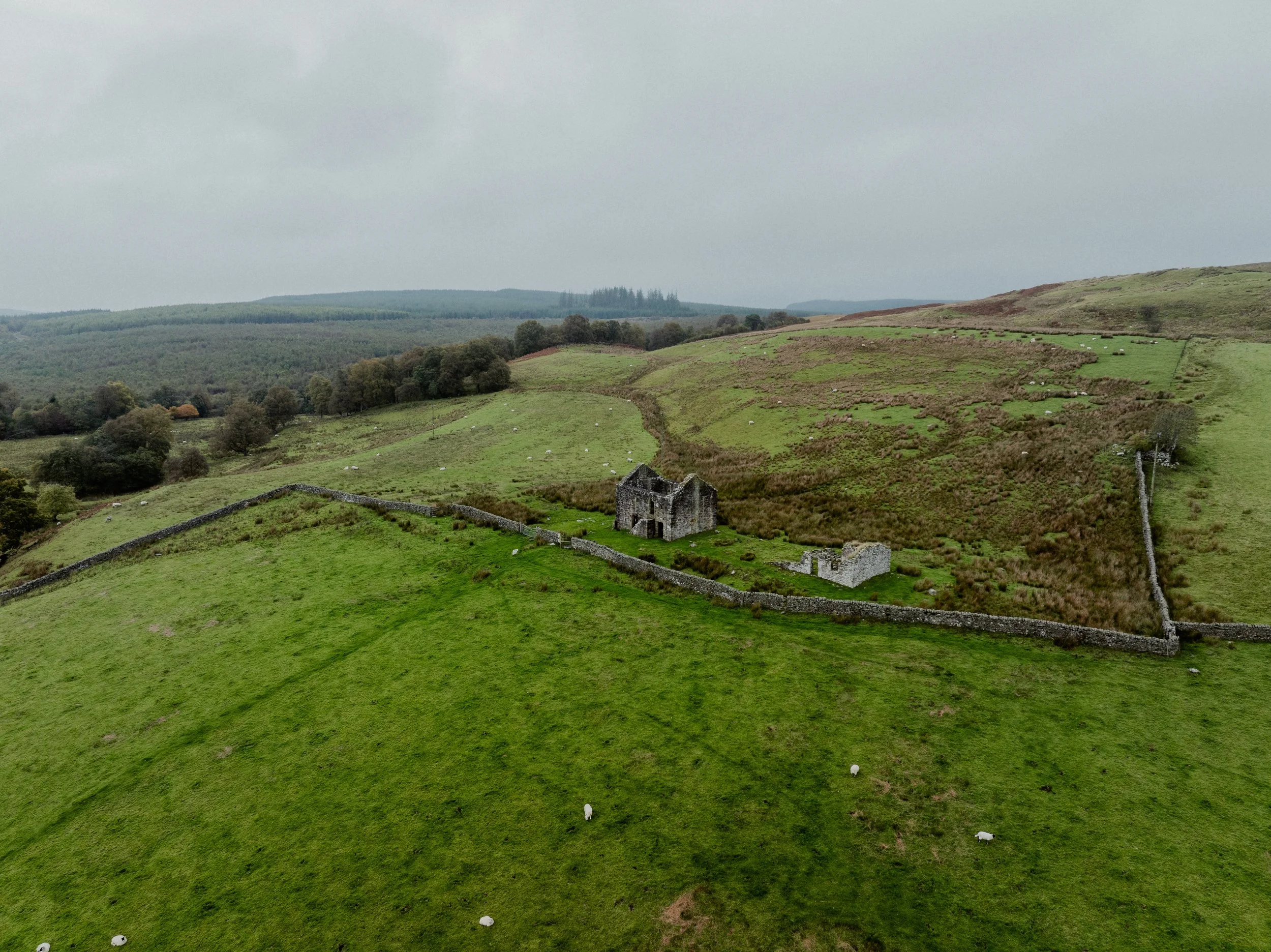 Black Middens Bastle House: Life Behind Stone Walls in Reiver Country