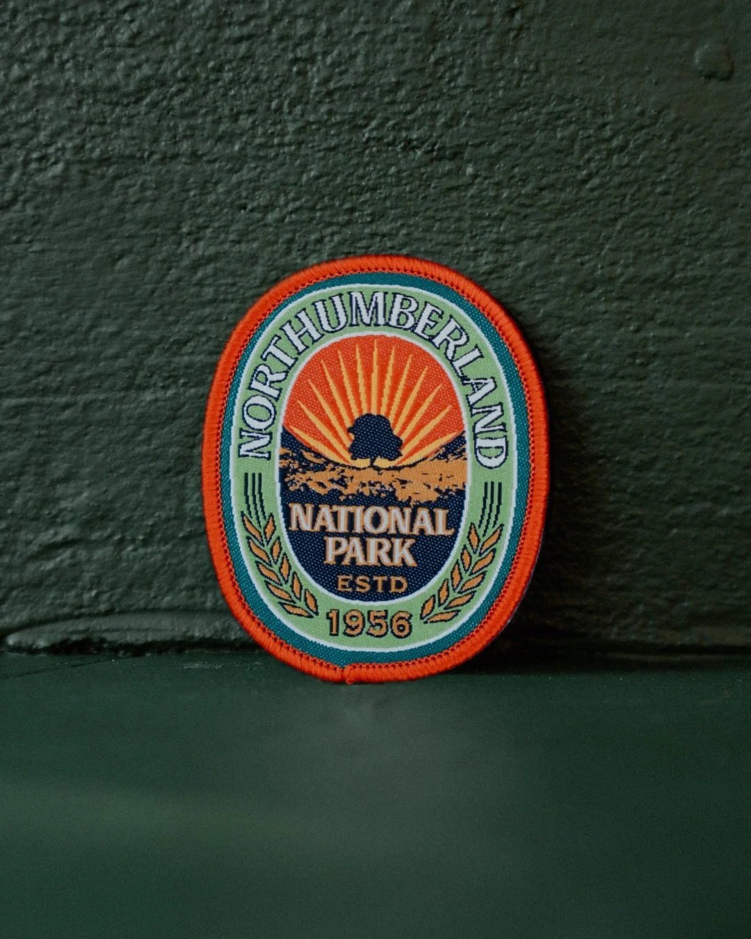 NorthumberlandNationalParkPatch.JPG
