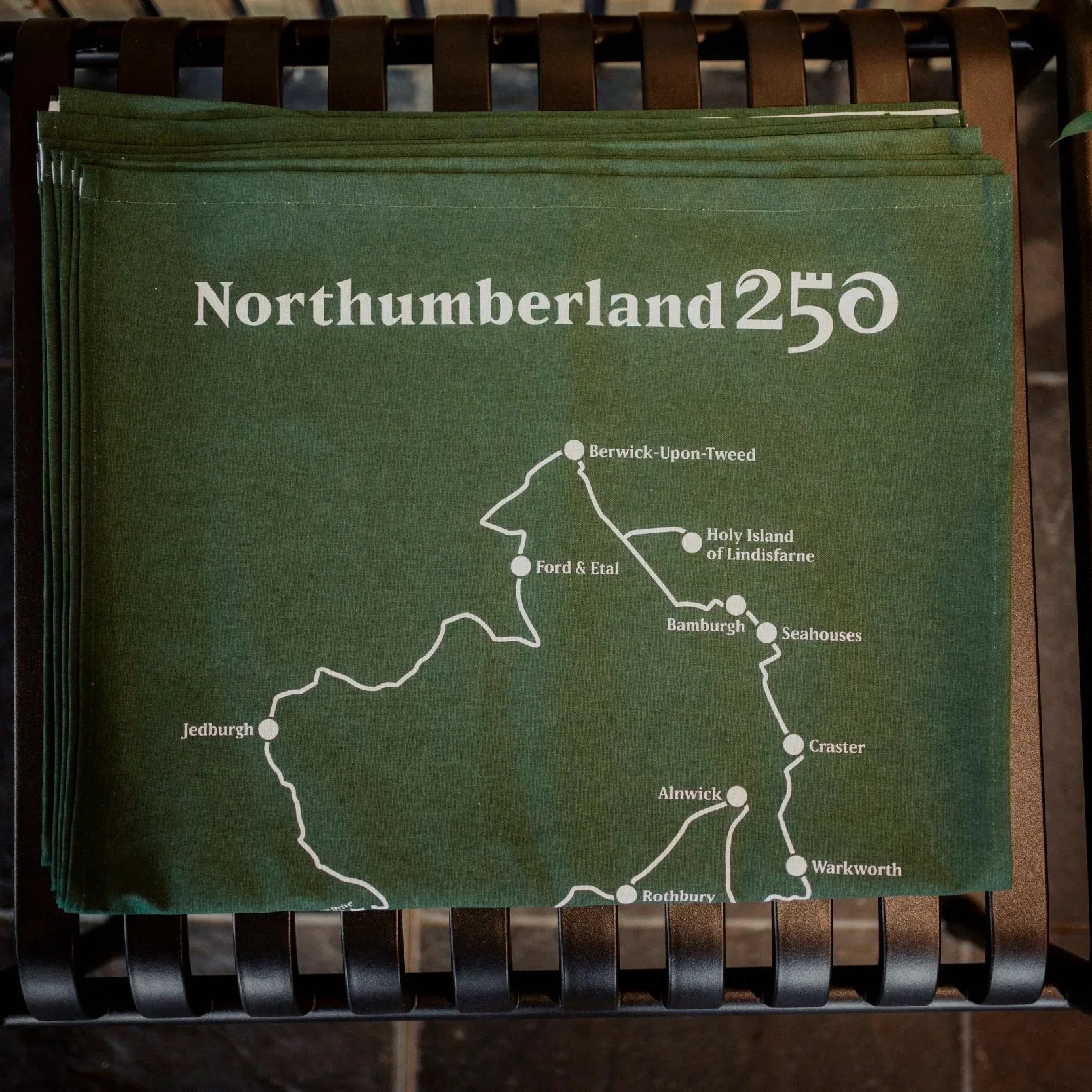 CAL08394.jpg