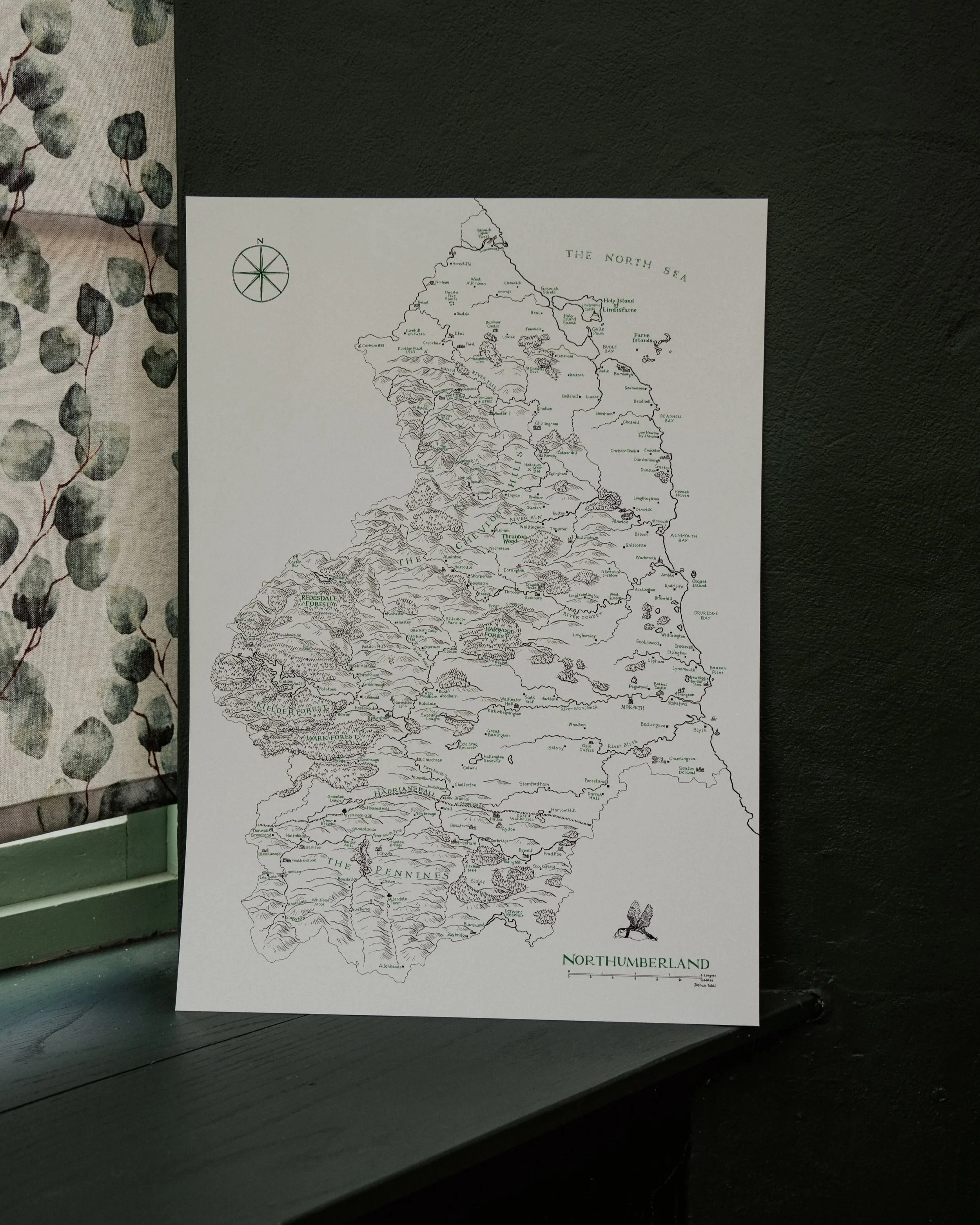 CAL03376.jpg