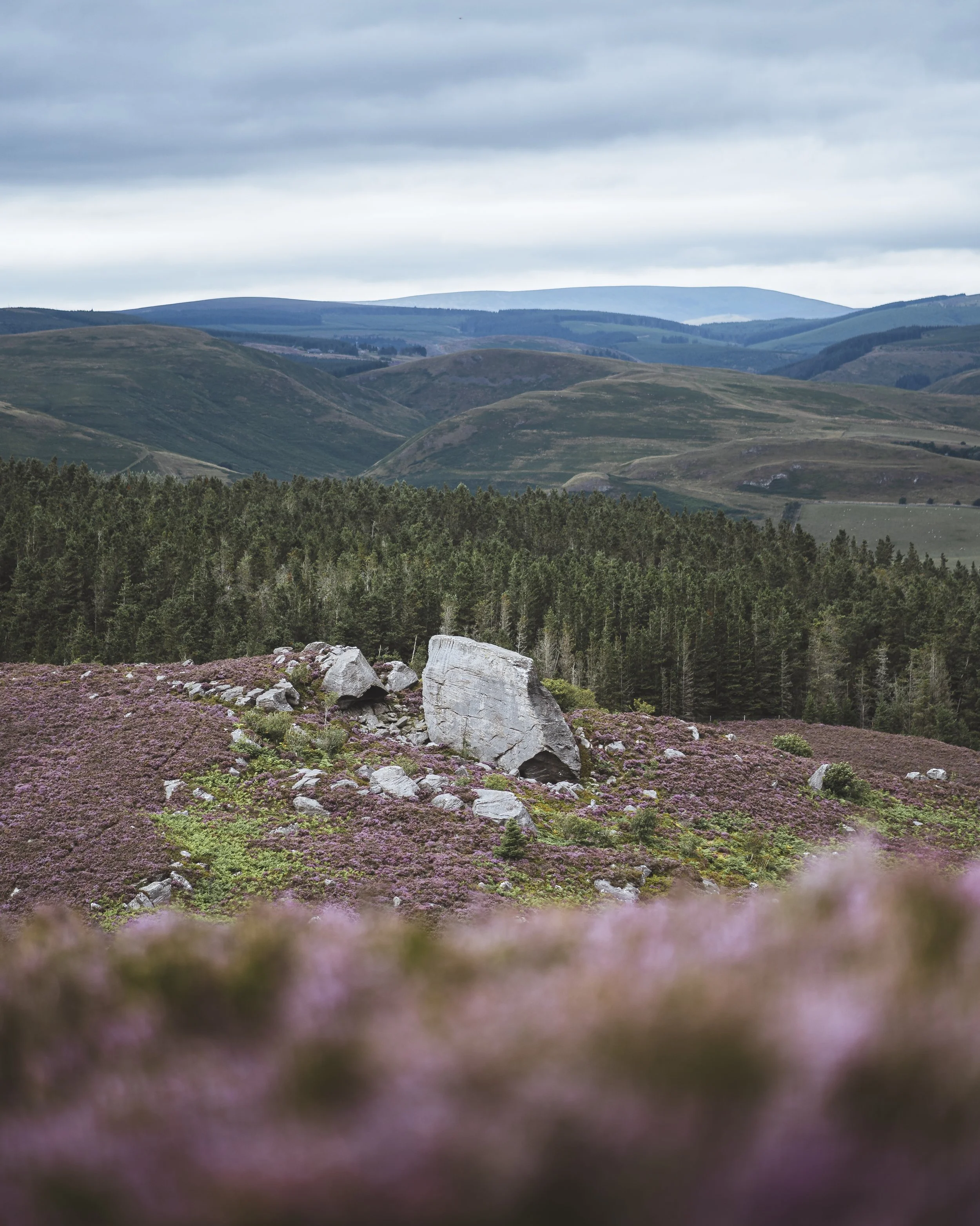 Drake Stone Walk Cal.jpg