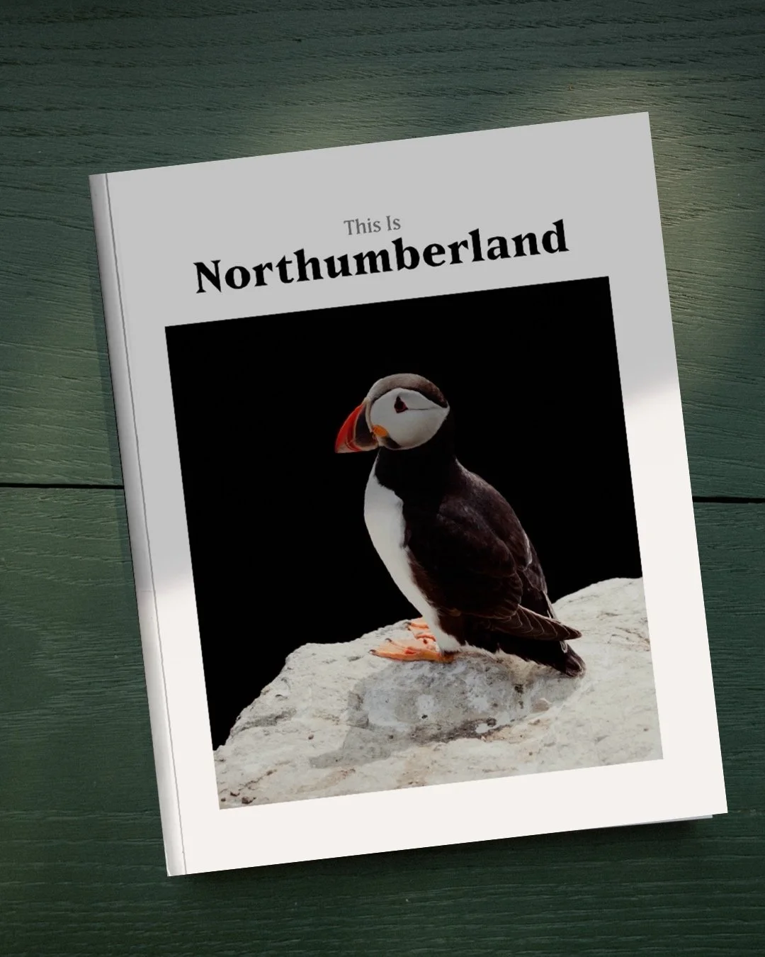 ThisIsNorthumberland2026 copy 3.JPG