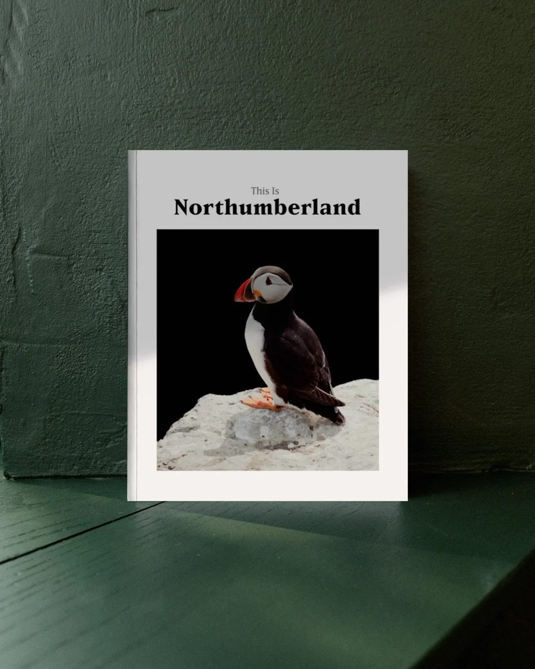 ThisIsNorthumberland2026 copy 2.JPG