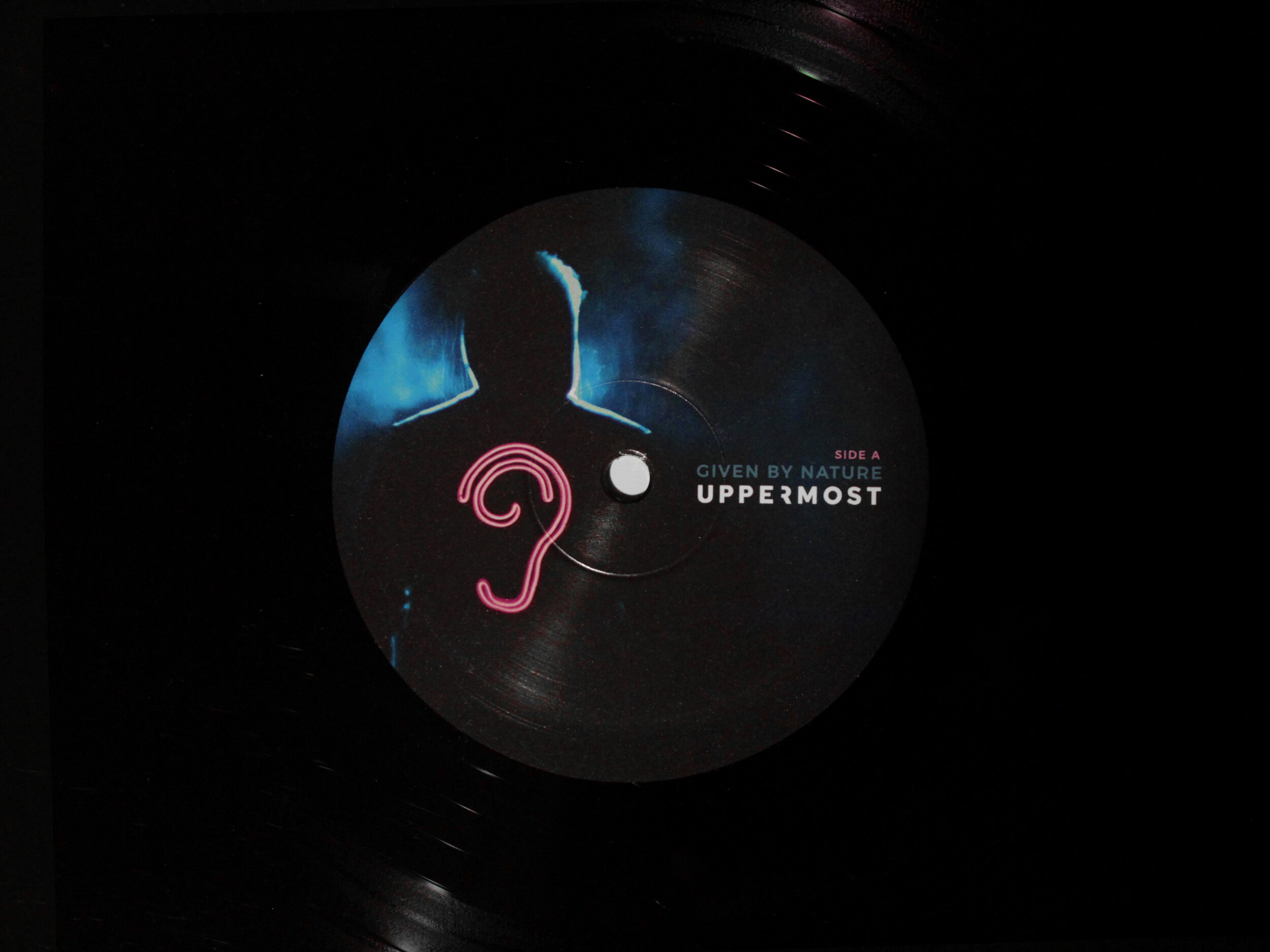 Vinyl Detail.jpg