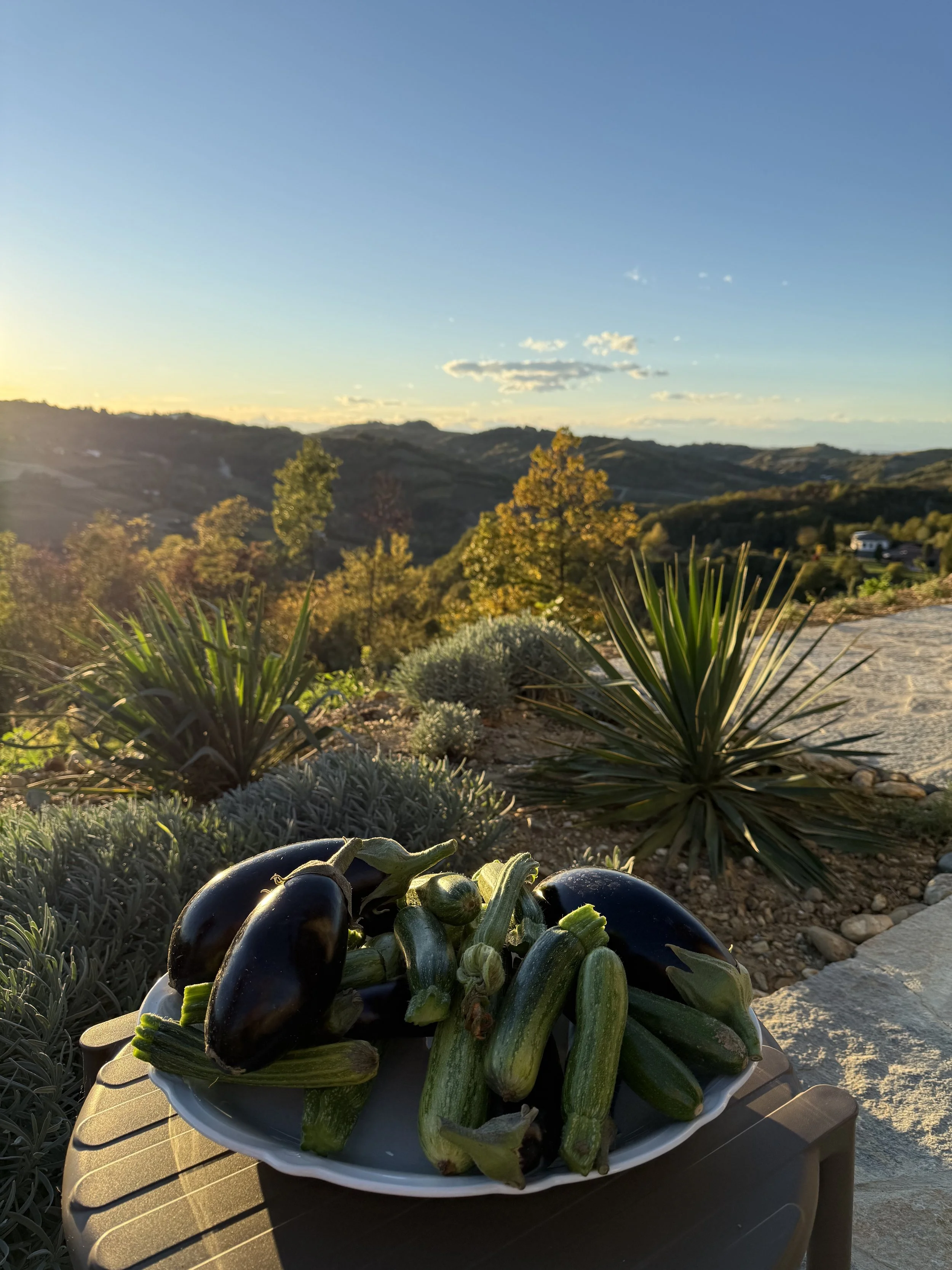 Kitchen terrace at sunset