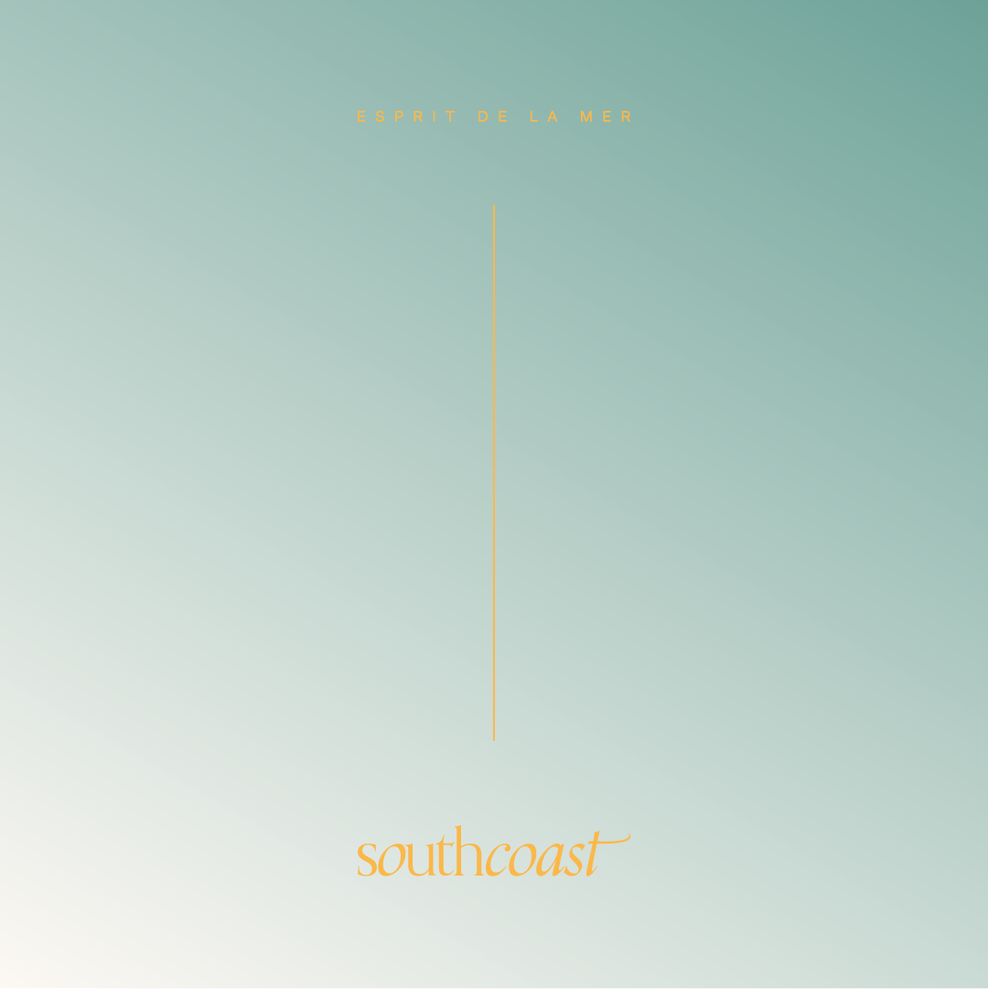 SOUTH COAST_Plan de travail 1 copie.png