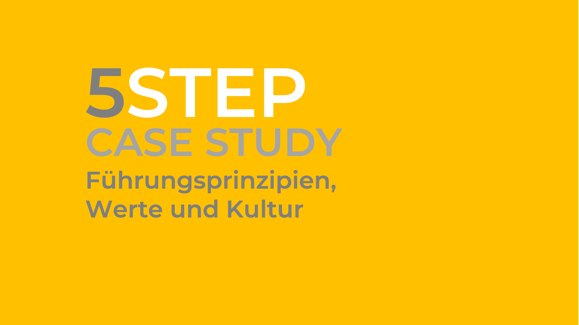 5STEP Case Study – Führung Werte Kultur _01.png