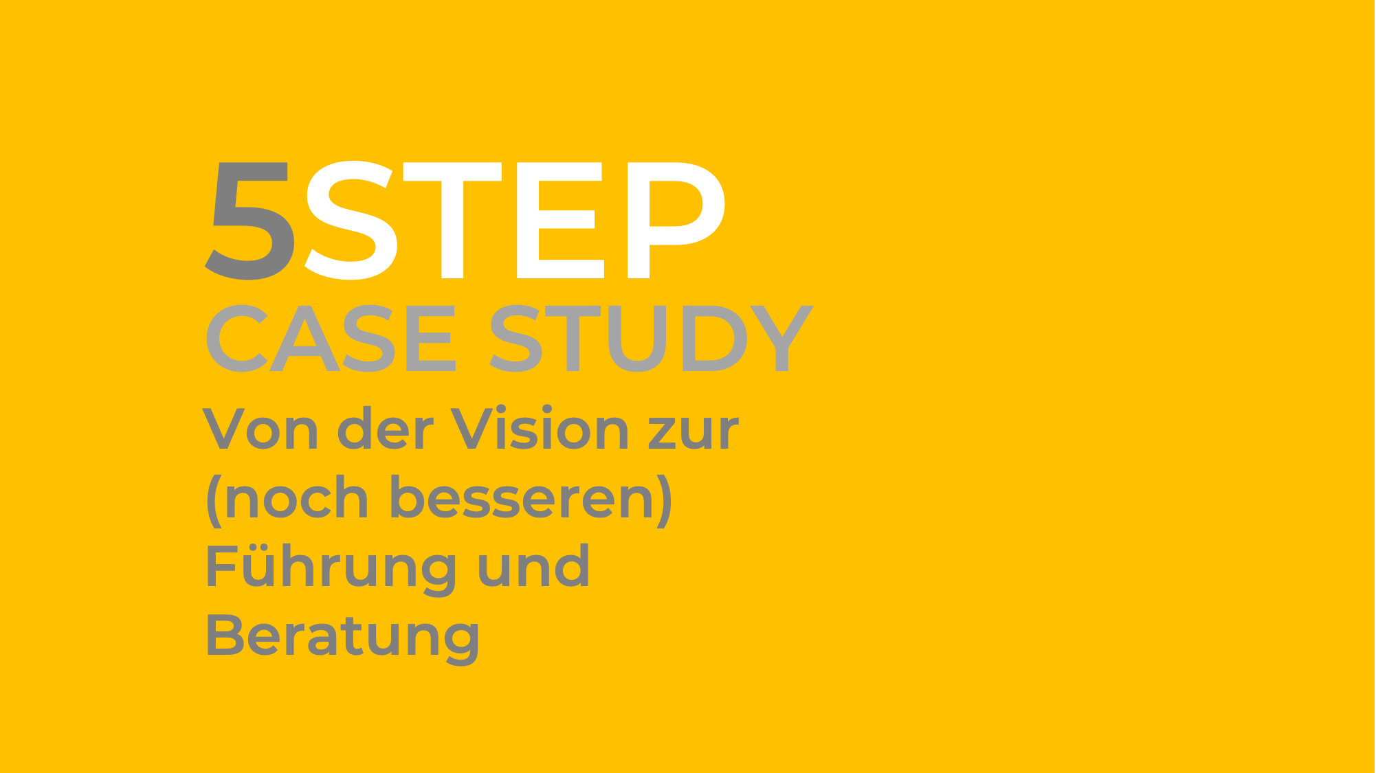 5STEP Case Study – Vision Führung Beratung _01.png