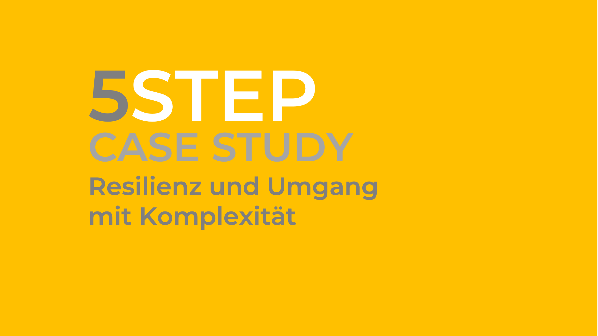 5STEP Case Study – Resilienz Komplexität _01.png