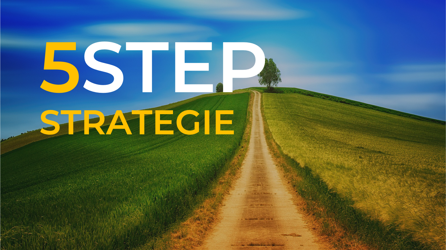 5STEP-Strategy HEADER _WAYFORWARD.png