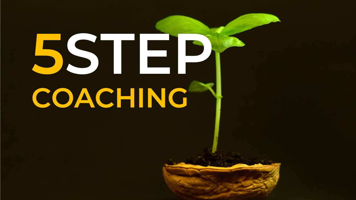 5STEP_Coaching HEADER GROW.png