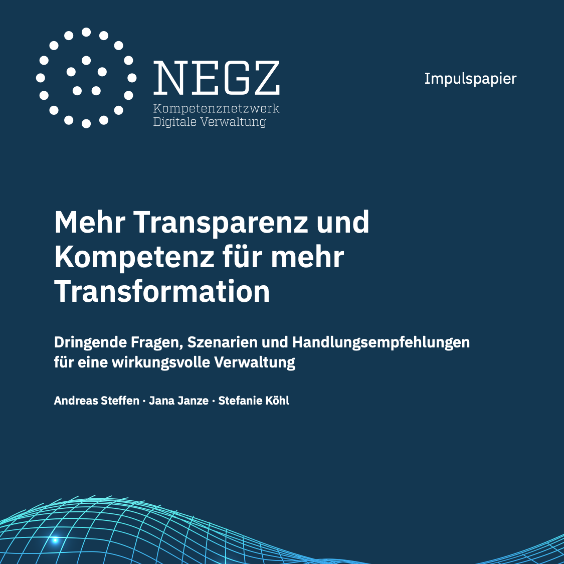 NEGZ Impulspapier – Transparenz-Kompetenz-Transformation –Steffen-Janze-Köhl – 12-2025 _COVER _SQUARE.png