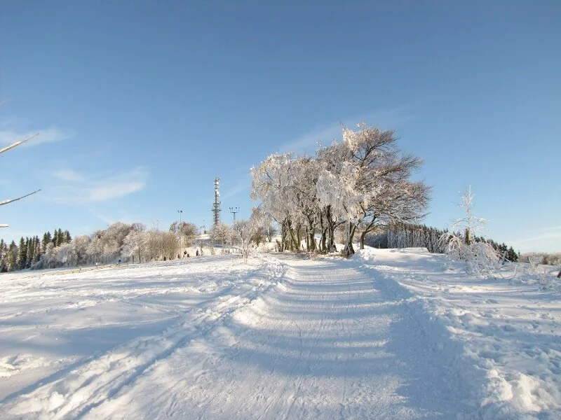 3 december - Winterwandeling