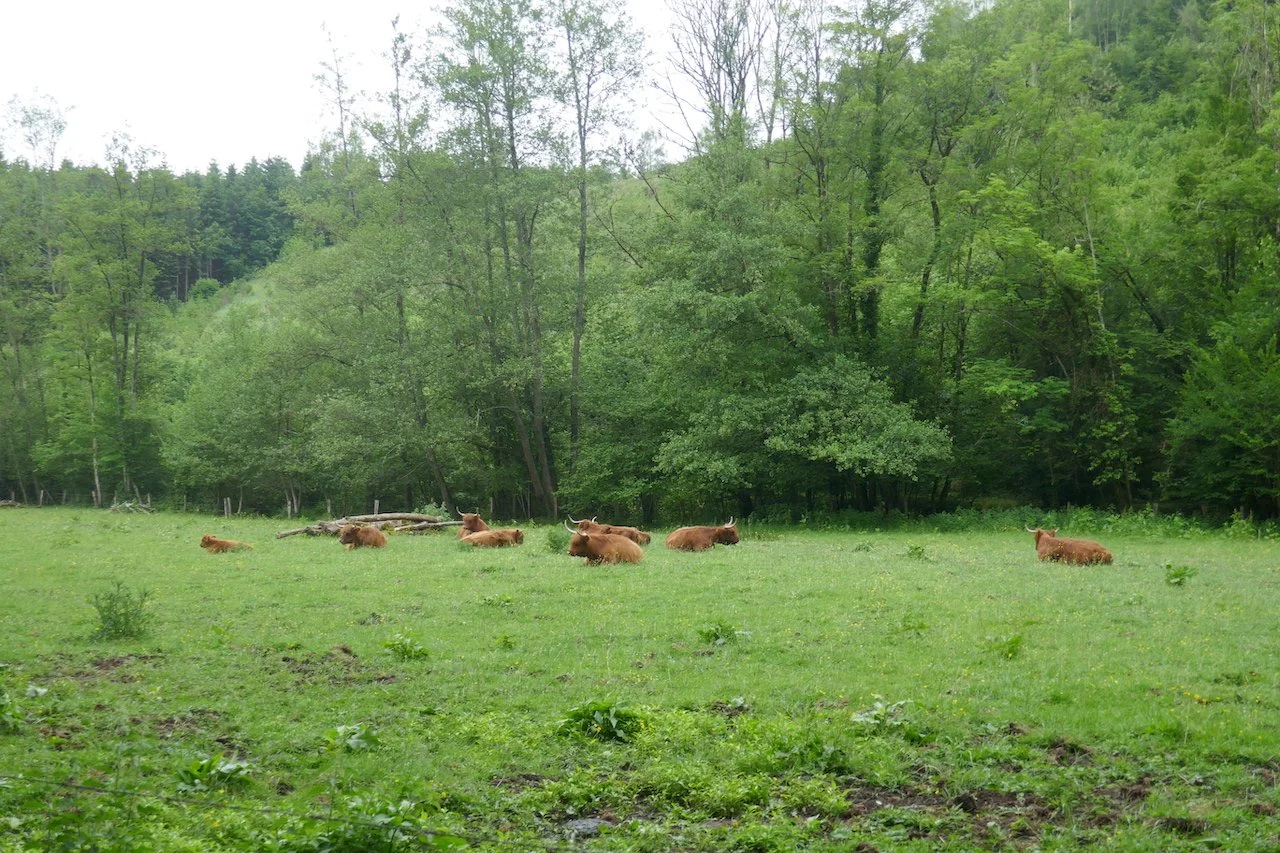 P1140421.JPG