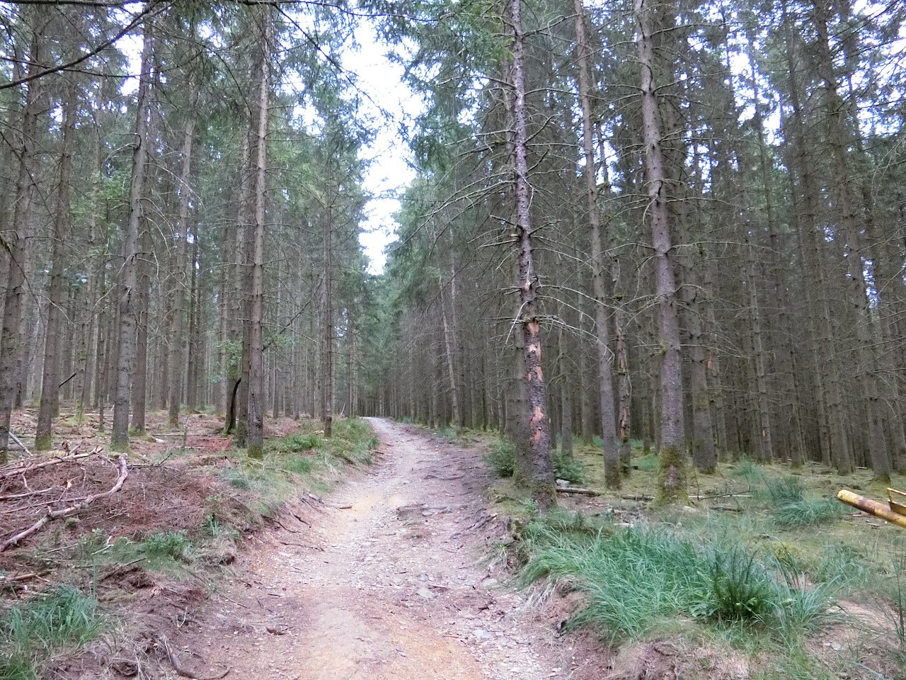 CIMG2805.JPG
