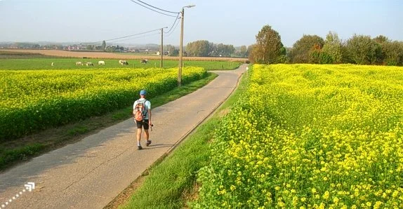 17 September - Gelukswandeling in- en fietsen naar Buvingen