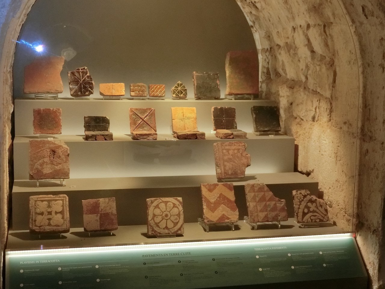 CIMG2448.JPG