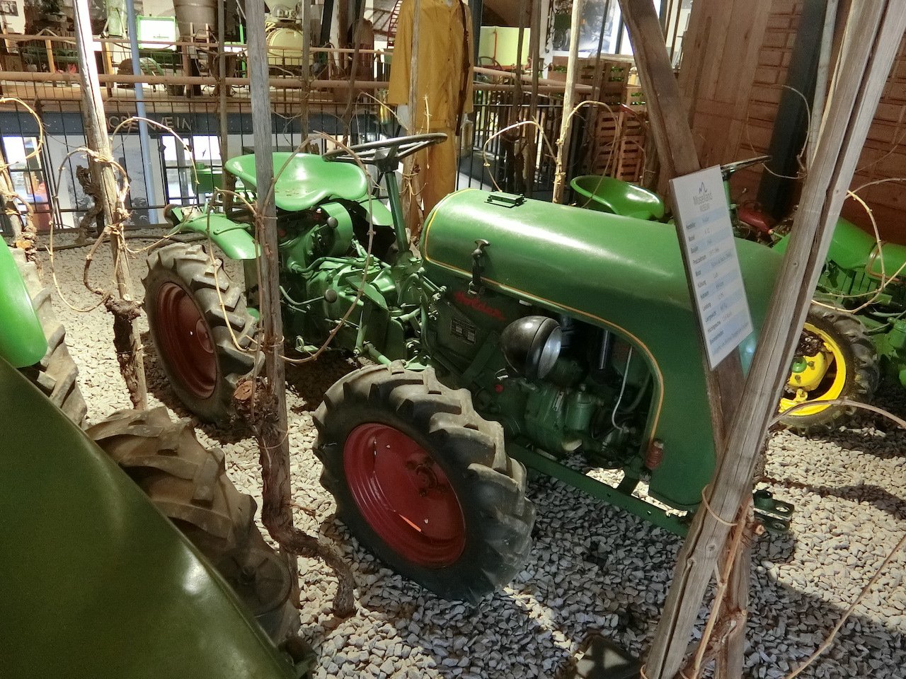 CIMG2919.JPG