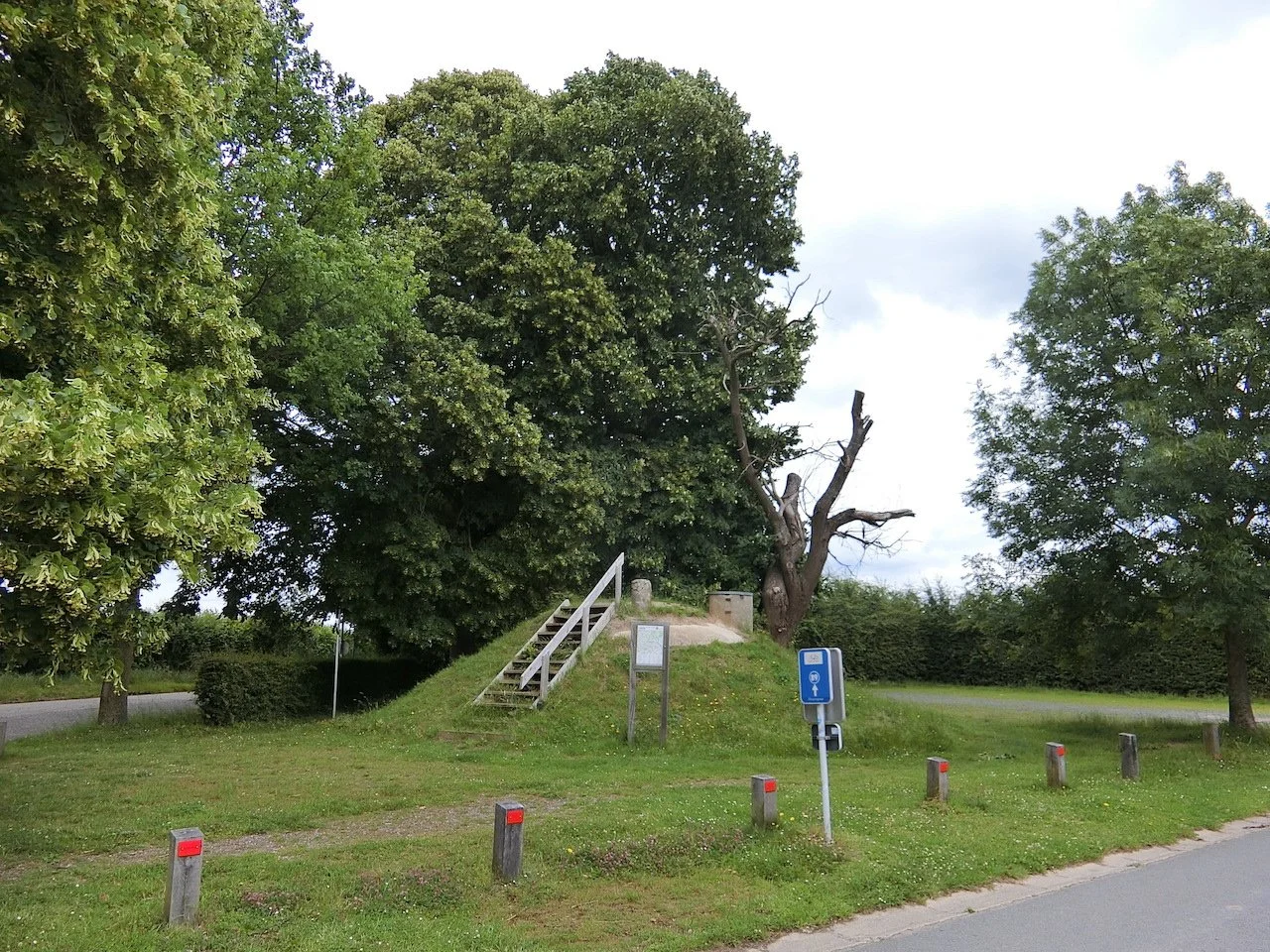 CIMG2576.JPG