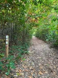 1 oktober  Lummen wandelen natuurreservaat Willekensberg
