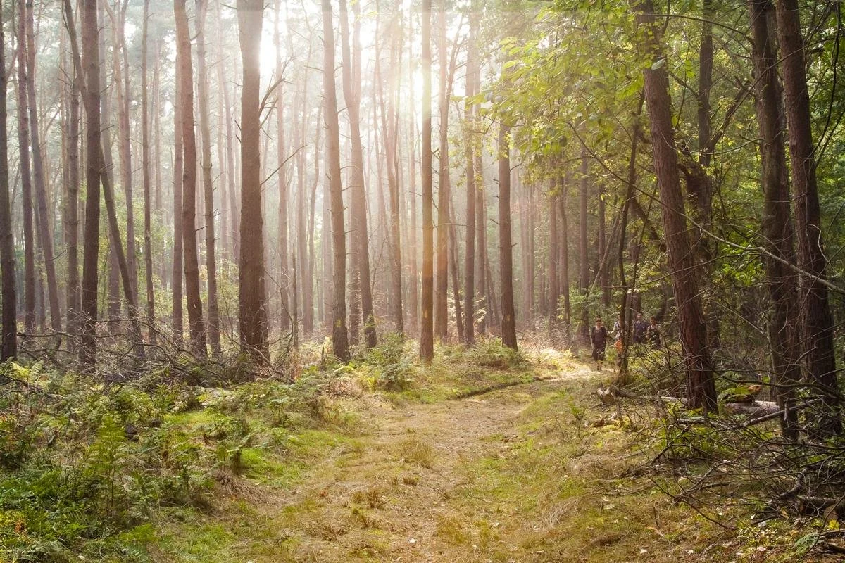 19 Februari - Winterwandeling in Kattevennen - Genk