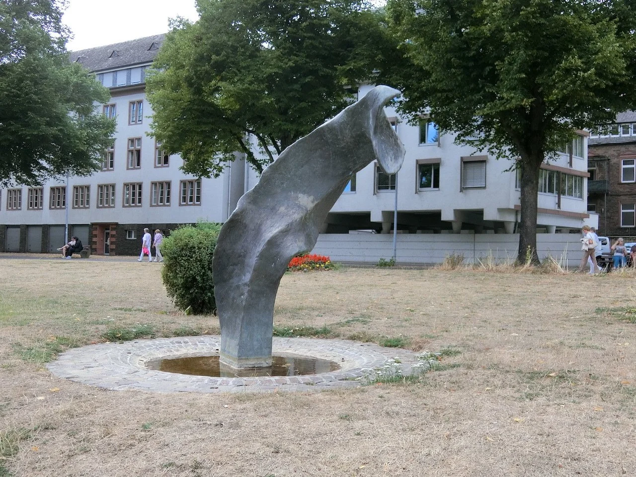CIMG2996.JPG