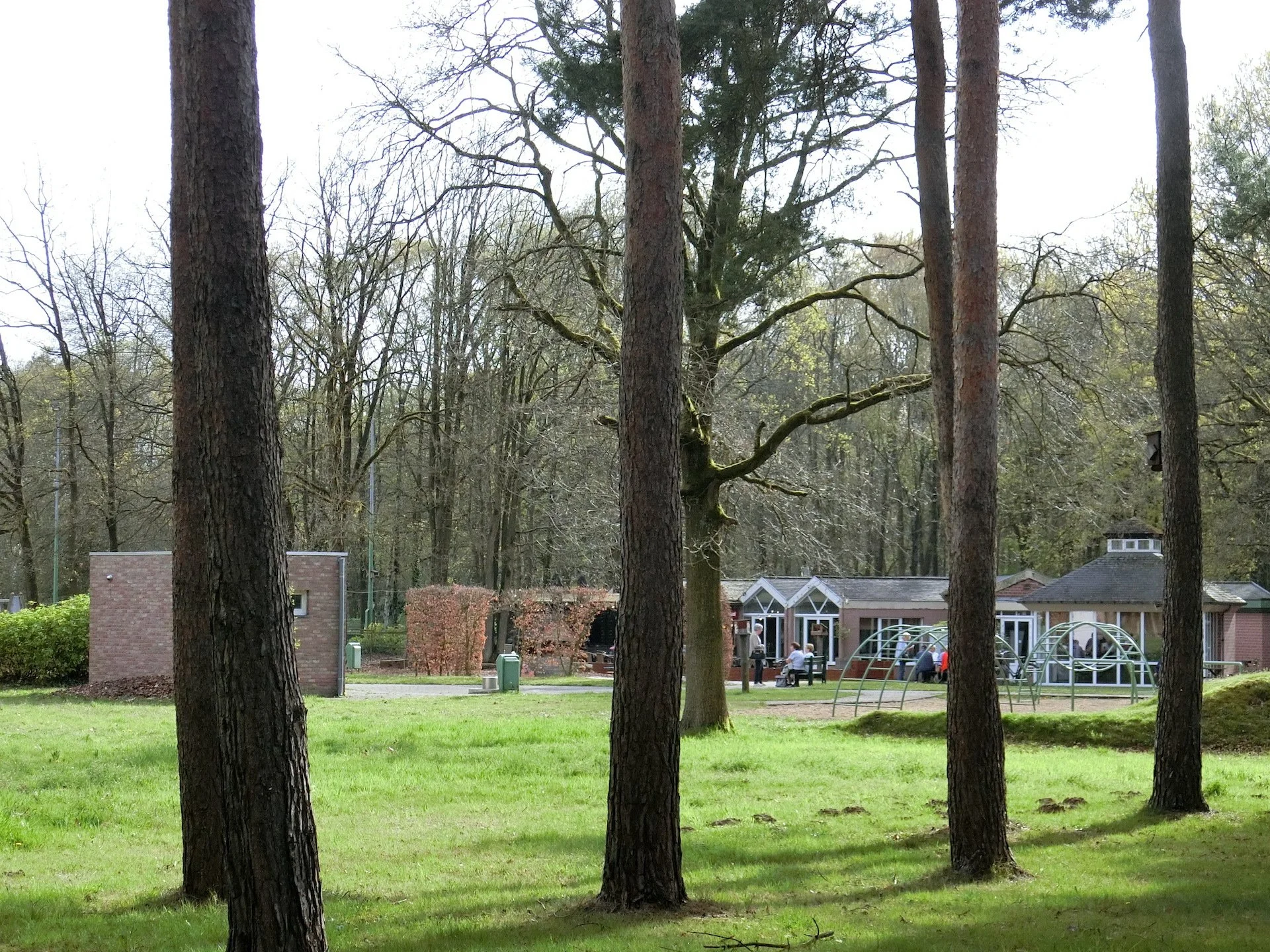 CIMG2010.JPG