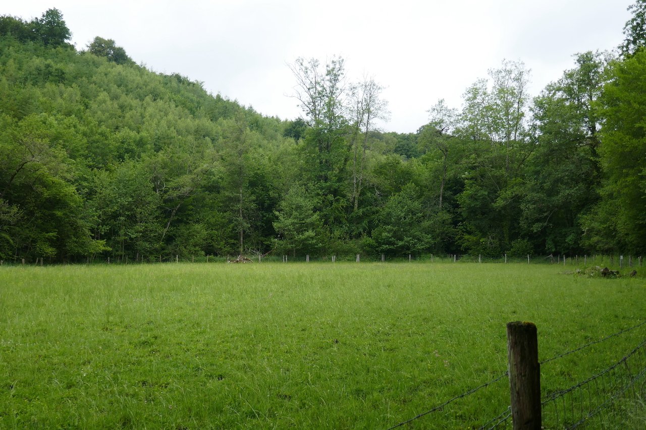 P1140418.JPG