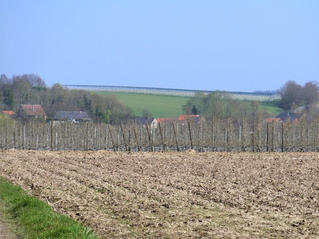 CIMG1684.JPG