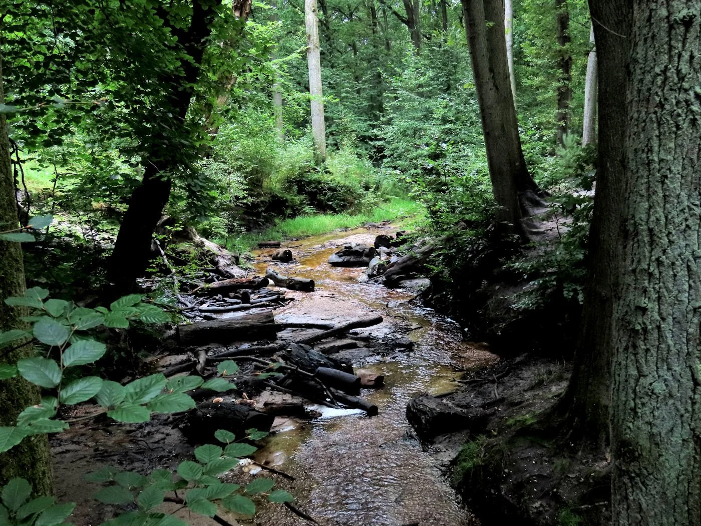 9 April - Busuitstap Gellik - Wandelen in De Krieckaert