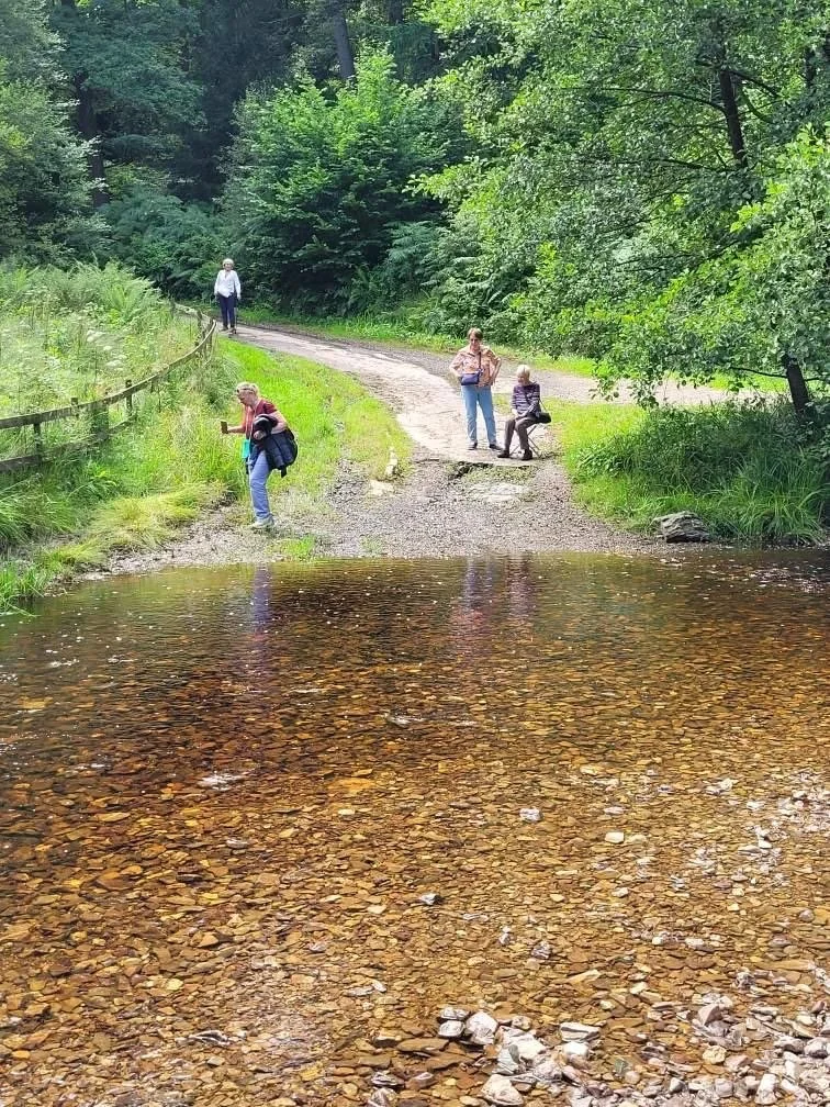 foto 5.jpeg
