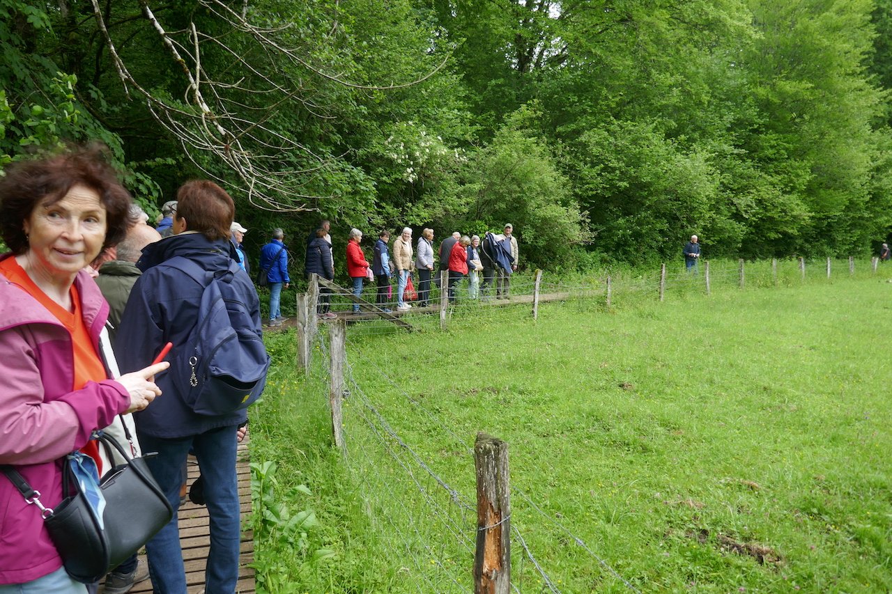 P1140416.JPG