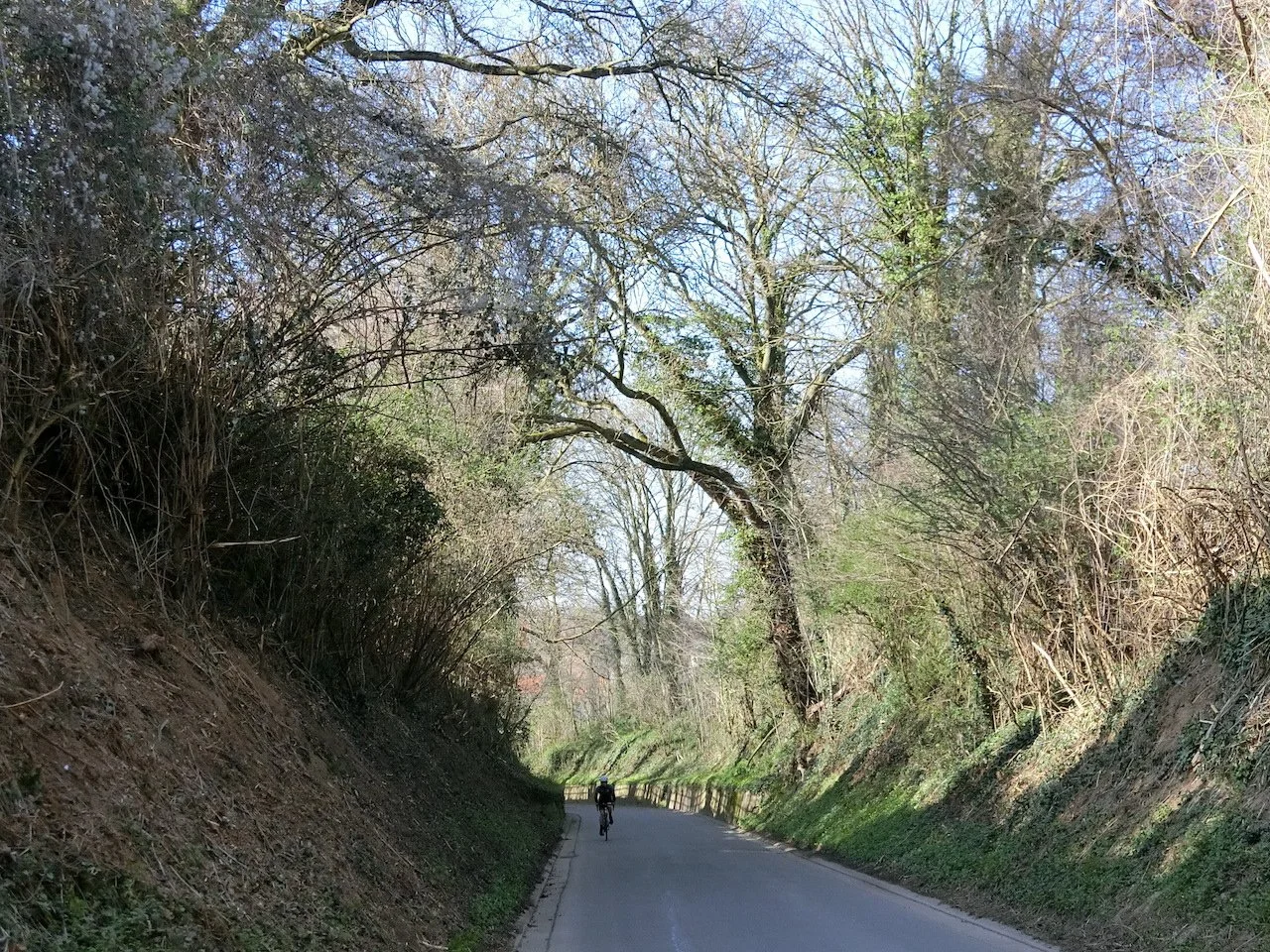 CIMG1723.JPG