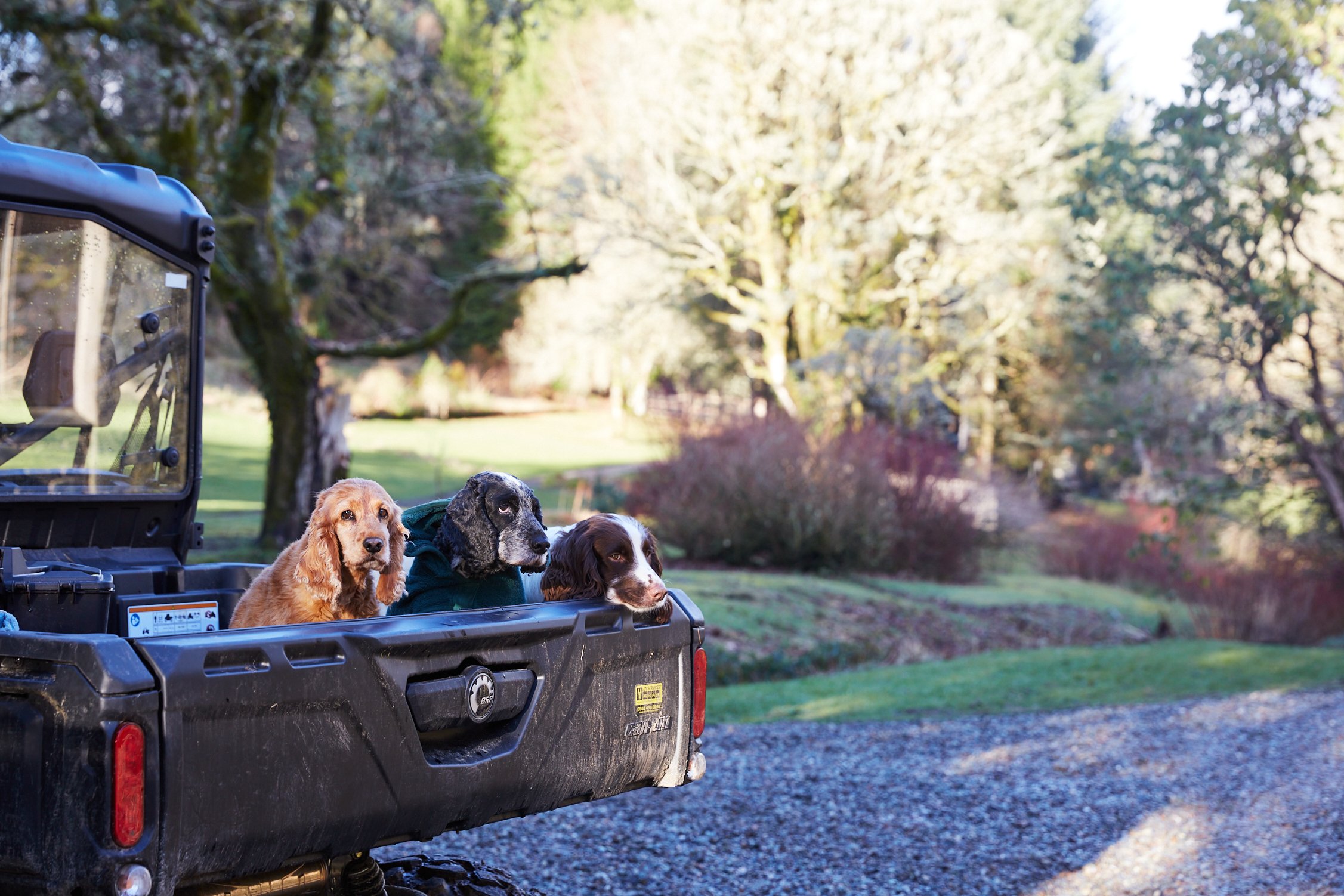 KirnanEstateEnt_003 (1).jpg