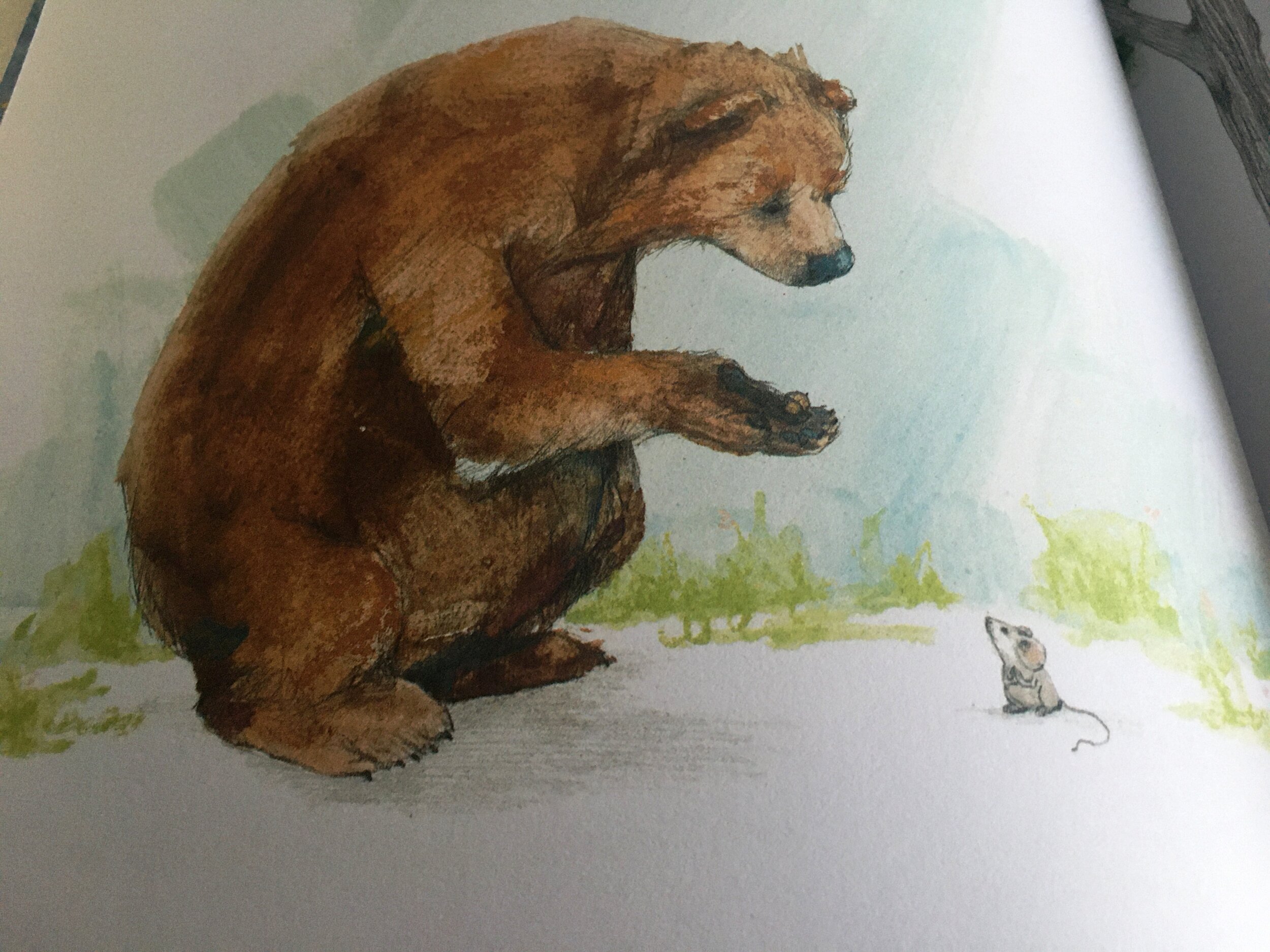 Corso Webinar Libricini® Avrò cura di te 0/16